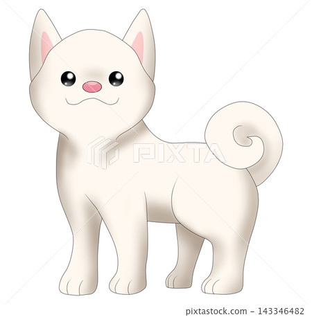 Cute illustration of a Shiba Inu (white Shiba) Cute illustration of a Shiba Inu (white Shiba) 143346482