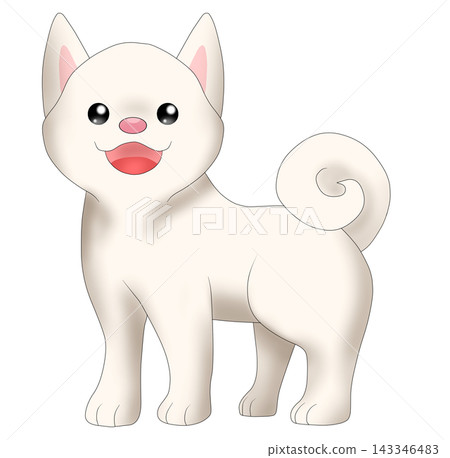 可愛的柴犬(白色柴犬)插圖 可愛的柴犬(白色柴犬)插圖 143346483