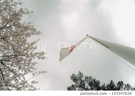島根縣出雲大社的優美景色 143347626