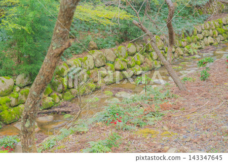 島根縣出雲大社的優美景色 143347645