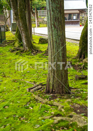 Beautiful scenery of Izumo Taisha Shrine in Shimane Prefecture Beautiful scenery of Izumo Taisha Shrine in Shimane Prefecture 143347682