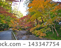 A path surrounded by autumn leaves of Momiji Valley in Mizusawa 143347754