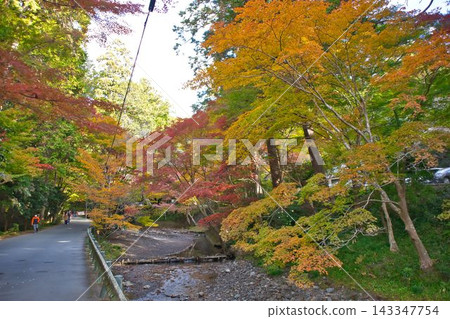 A path surrounded by autumn leaves of Momiji Valley in Mizusawa A path surrounded by autumn leaves of Momiji Valley in Mizusawa 143347754