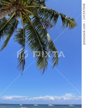 棕櫚葉鋪滿藍天,小船漂浮在熱帶沙灘上。 棕櫚葉鋪滿藍天,小船漂浮在熱帶沙灘上。 143347848