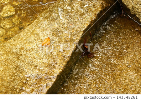 Color, River, Water, Stone, Rock (Registered October 2026) Color, River, Water, Stone, Rock (Registered October 2026) 143348261