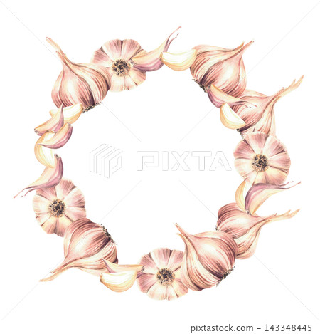 Garlic wreath with whole bulbs and cloves. Realistic hand painted watercolor botanical illustration, isolated on white with round copy space for food labels, vegetable packaging and seasoning. Garlic wreath with whole bulbs and cloves. Realistic hand painted watercolor botanical illustration, isolated on white with round copy space for food labels, vegetable packaging and seasoning. 143348445