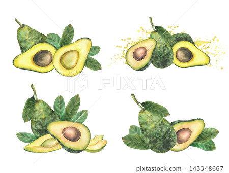 Avocado fruit set with whole and sliced halves, leaves and seed. Hand painted watercolor botanical realistic illustration isolated on white background for food packaging, menus and recipes design. Avocado fruit set with whole and sliced halves, leaves and seed. Hand painted watercolor botanical realistic illustration isolated on white background for food packaging, menus and recipes design. 143348667