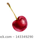 Watercolor Sweet Cherry Botanical Fruit Clipart 143349290
