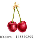 Watercolor Pair of Sweet Cherries Botanical Fruit Clipart 143349295