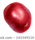 Watercolor Sweet Cherry Botanical Fruit Clipart 143349310