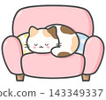 Cute Sleeping Calico Cat on Armchair with Cushions 143349337