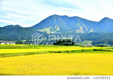 從樽川橋/樽川附近眺望高城山（長野縣木島平村） [2026.9] 143349353