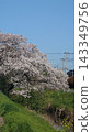 Cherry blossoms and blue sky 143349756