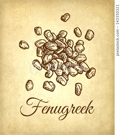 Dried Fenugreek Spice on Parchment Background Dried Fenugreek Spice on Parchment Background 143350321