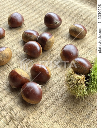 秋天的味道:美味的栗子 秋天的味道:美味的栗子 143350608
