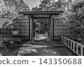 2024年5月，觀泉園入口處的竹籬笆和竹門的黑白照片。 143350688