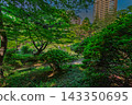 從綠樹成蔭的高處俯瞰池塘和周圍花園。 2024年5月。 143350695