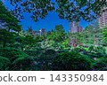 2024年5月，寬泉園鬱鬱蔥蔥的綠植和藍天下摩天大樓的景色。 143350984
