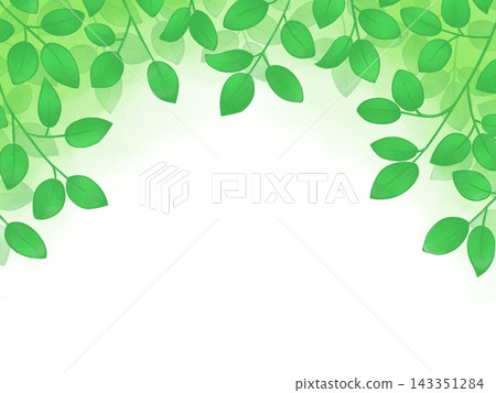 葉背景 葉背景 143351284