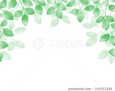 葉背景 143351285