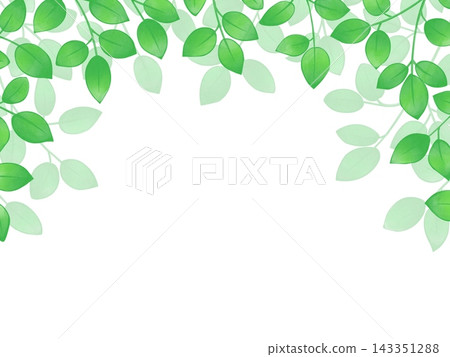 葉背景 葉背景 143351288
