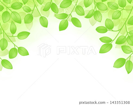 葉背景 葉背景 143351308