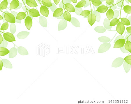 葉背景 葉背景 143351312