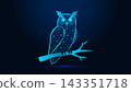 Low poly wireframe owl sitting on tree branch on dark blue background. 143351718