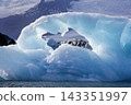 Icebergs in Jokulsarlon glacier lagoon in the south of Iceland 143351997