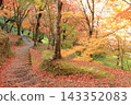 Fall work park 143352083