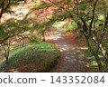 Autumn park 143352084