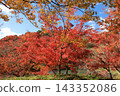 Autumn of work park 143352086