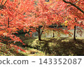Autumn leaves of work park 143352087
