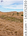 Expansive Landscape of Rocky Arid Valleys and Desert Canyons with a Lone Palm Tree 143352850