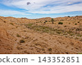 Expansive Landscape of Rocky Arid Valleys and Desert Canyons with a Lone Palm Tree 143352851