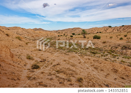 Expansive Landscape of Rocky Arid Valleys and Desert Canyons with a Lone Palm Tree Expansive Landscape of Rocky Arid Valleys and Desert Canyons with a Lone Palm Tree 143352851
