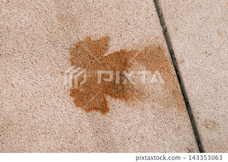 Maple leaf print on concrete pavement, brown leaf mark on light stone surface in city park Maple leaf print on concrete pavement, brown leaf mark on light stone surface in city park 143353063