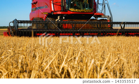 A combine harvester drives through the field, mows ripe wheat and threshes grain. A combine harvester drives through the field, mows ripe wheat and threshes grain. 143353517