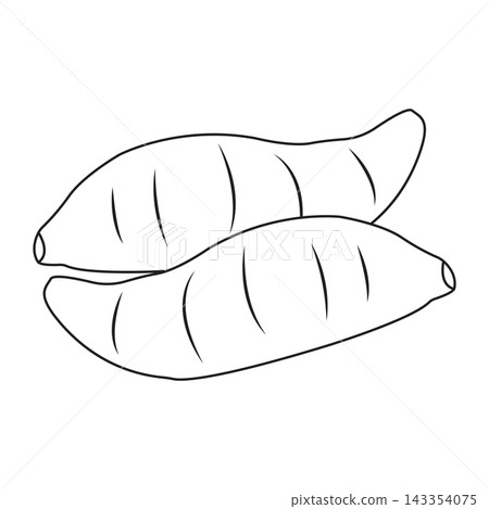 Cassava Root Line Art Vector Illustration for a Coloring Book Cassava Root Line Art Vector Illustration for a Coloring Book 143354075