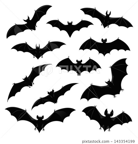 The image shows a collection of black bat silhouettes in various flight poses The image shows a collection of black bat silhouettes in various flight poses 143354199