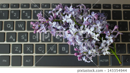 A branch of tender just blossomed lilac on a laptop keyboard. Illustrative photo on the topic of online dating A branch of tender just blossomed lilac on a laptop keyboard. Illustrative photo on the topic of online dating 143354944