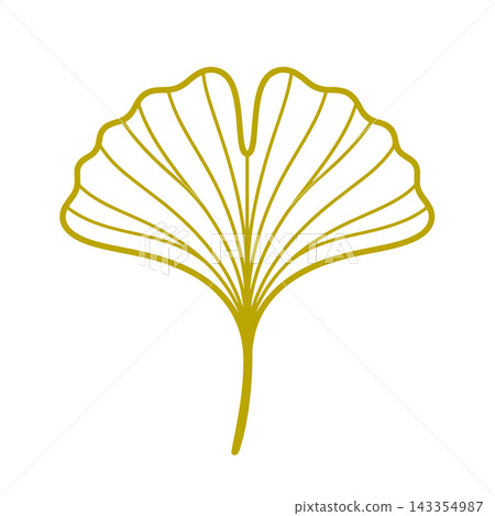 Elegant linear vector illustration of a ginkgo biloba leaf in golden color, isolated on a white 143354987