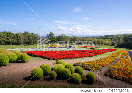 網走市:花天戶盛開的花田。 網走市:花天戶盛開的花田。 143358038