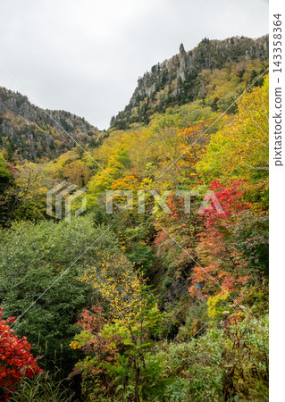 層雲峽的秋葉色彩斑斕 143358364