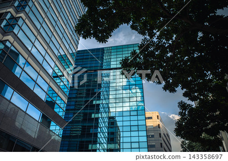A cluster of modern skyscrapers bordered by green leaves A cluster of modern skyscrapers bordered by green leaves 143358697