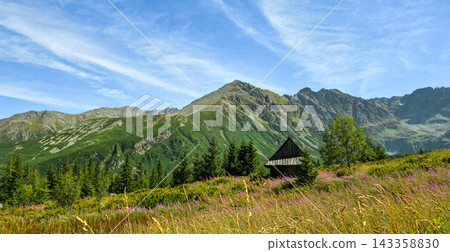 Blooming fireweed in Gasienicowa Valley, Tatras. Concept of summer hiking, wildflower season, mountain escape, ecotourism, Poland trip. 143358830
