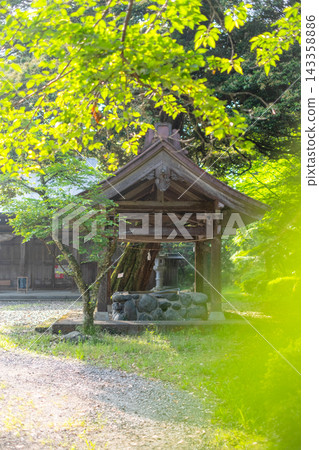 倉吉市宇吹公園的清新綠意和初夏景色 143358886