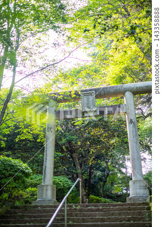 倉吉市宇吹公園的清新綠意和初夏景色 143358888