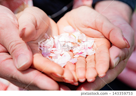 【春季婚禮圖片】櫻花花瓣和你掌心的訂婚戒指。 【春季婚禮圖片】櫻花花瓣和你掌心的訂婚戒指。 143359753