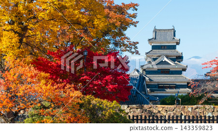 Matsumoto Castle (autumn) Matsumoto Castle (autumn) 143359823